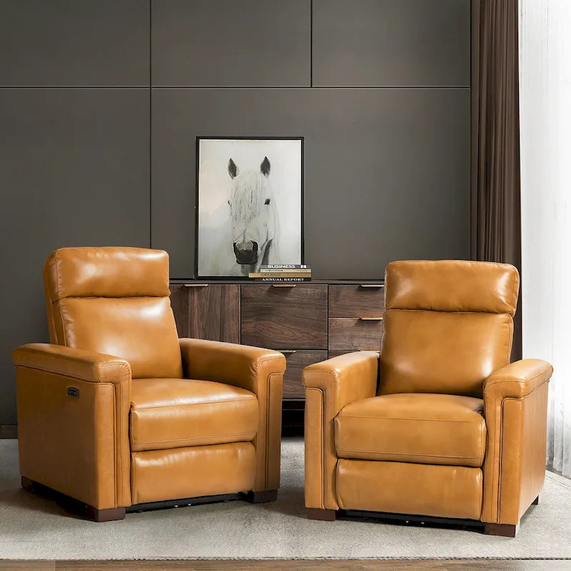 Alicia 34.65 Wide Contemporary Classic Genuine Leather Power Recliner With USB Port (Set of 2)