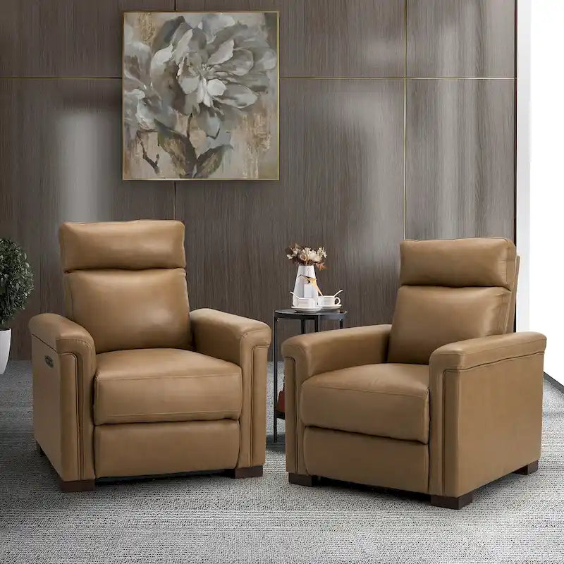 Alicia 34.65 Wide Contemporary Classic Genuine Leather Power Recliner With USB Port (Set of 2)