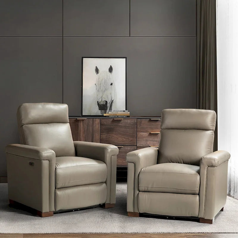 Alicia 34.65 Wide Contemporary Classic Genuine Leather Power Recliner With USB Port (Set of 2)