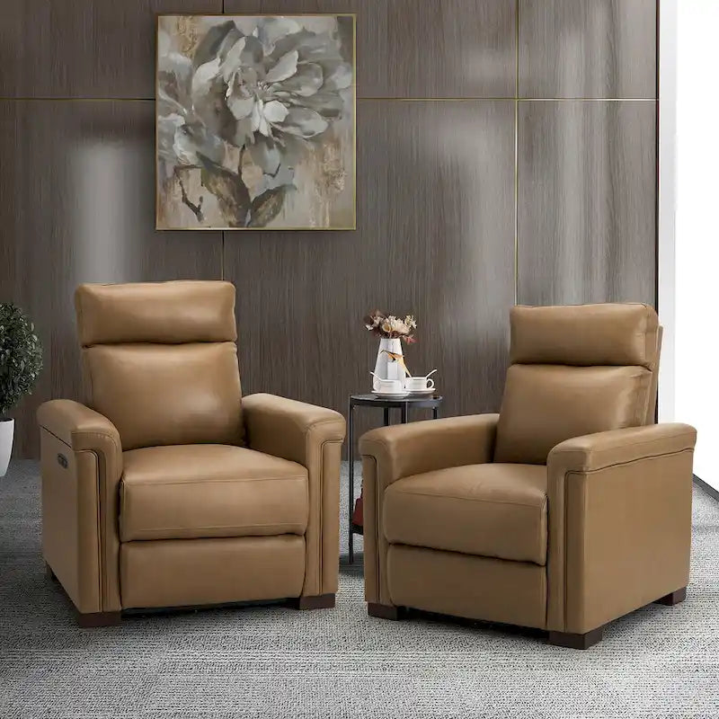 Alicia 34.65 Wide Contemporary Classic Genuine Leather Power Recliner With USB Port (Set of 2)
