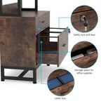 2-Drawer File Cabinet Printer Stand with Lock, 29.52"L