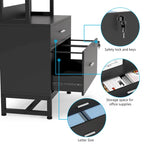 2-Drawer File Cabinet Printer Stand with Lock, 29.52"L