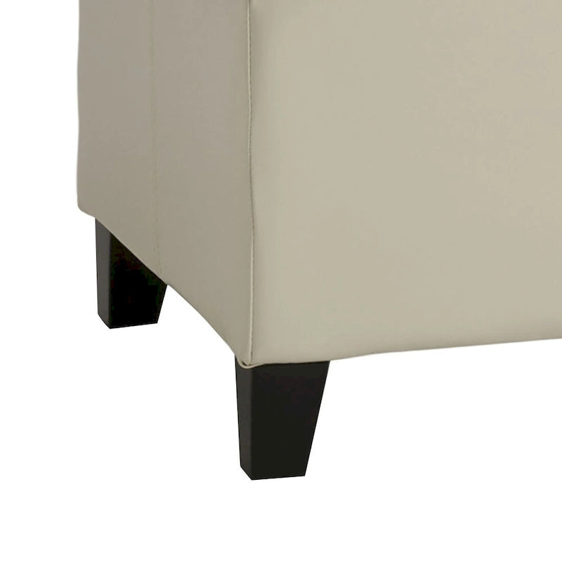 Contemporary Minimalist Design Upholstered Storage Bench